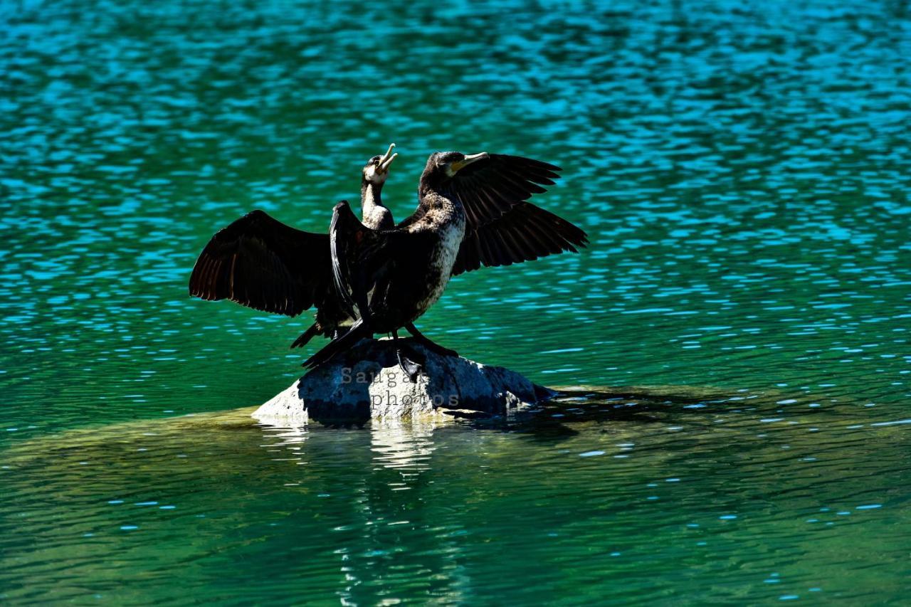 Bardia Wildlife Resort Bardiya ภายนอก รูปภาพ