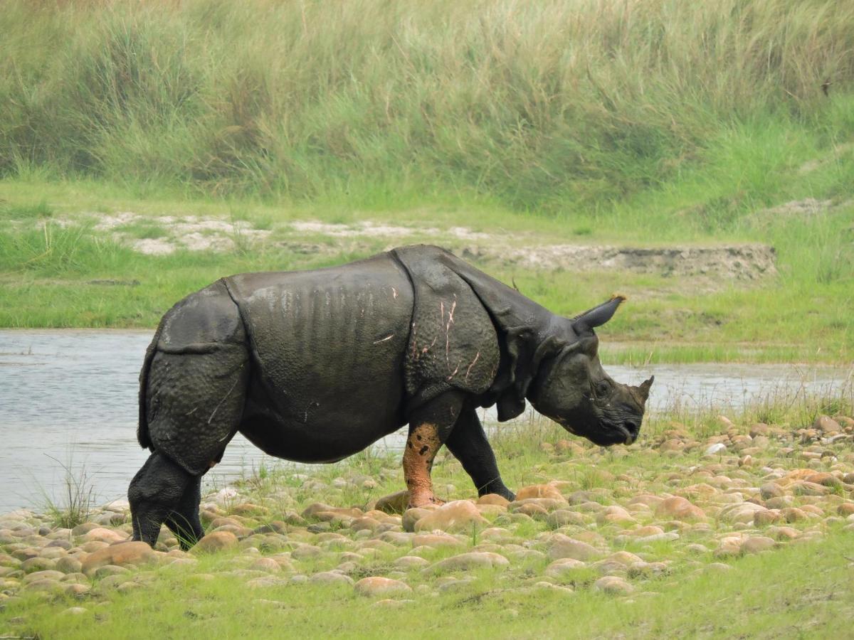 Bardia Wildlife Resort Bardiya ภายนอก รูปภาพ